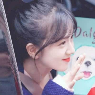 管家婆一码一肖资料手机app下载截图